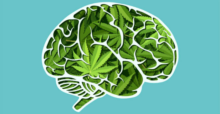 Marijuana and Gaming Brain Effects