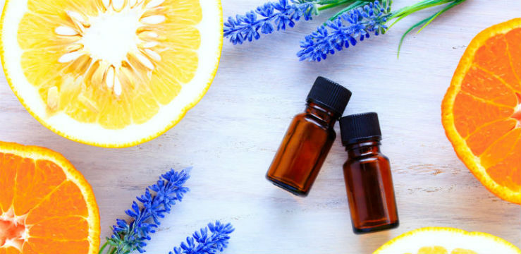 What Is Terpene Lavender CItrus Oils 