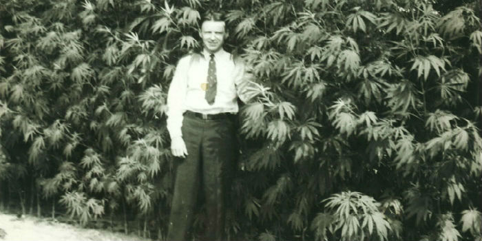 Why Was Hemp Made Illegal In 1937